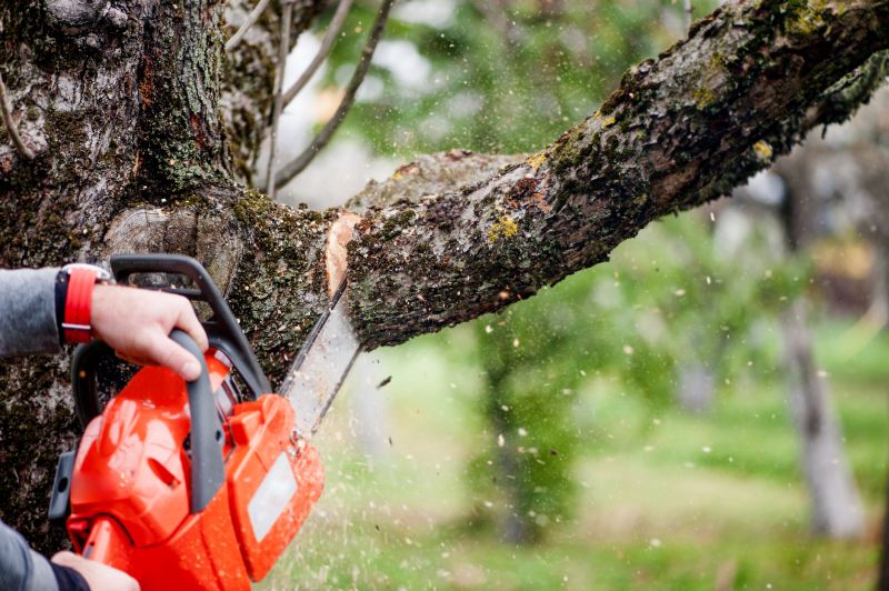 Emergency Tree Cutting