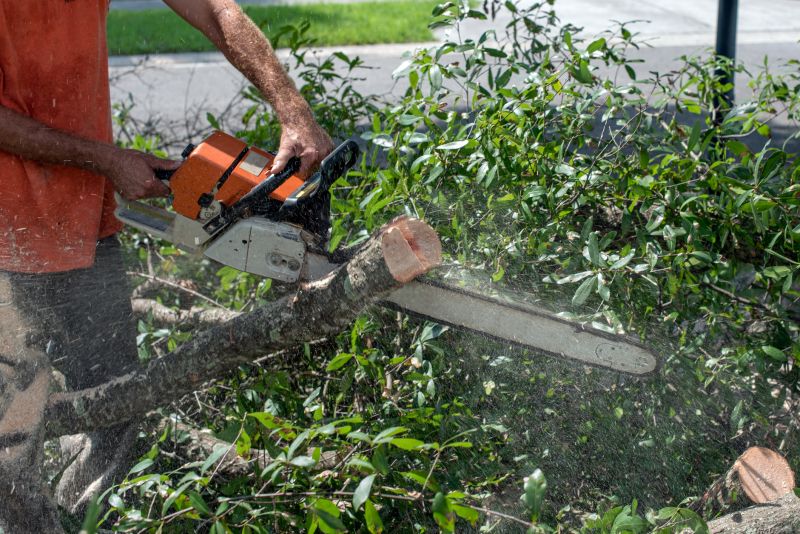 Emergency Tree Cutting