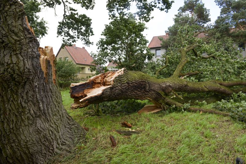 Storm Damage Assessment