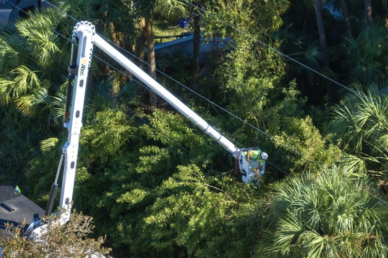 Emergency Tree Cutting in Action