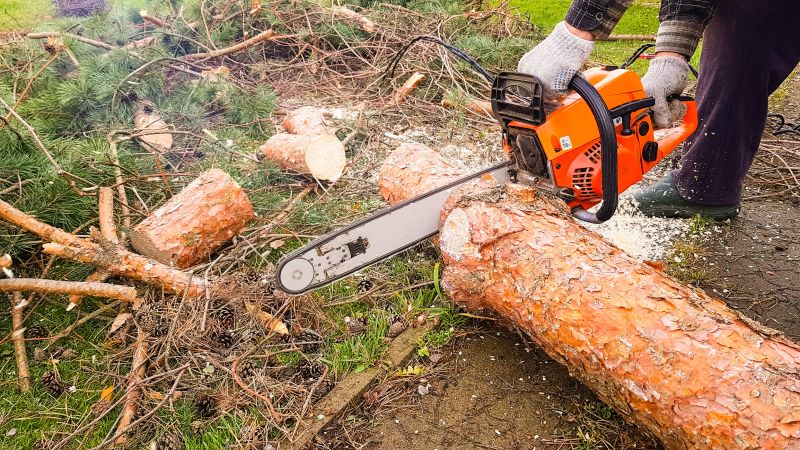 Tree Cutting Equipment