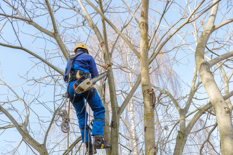Post-Trimming Tree Health Check
